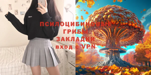 гидропоника Алексеевка