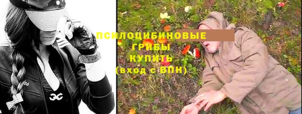 герыч Алексин
