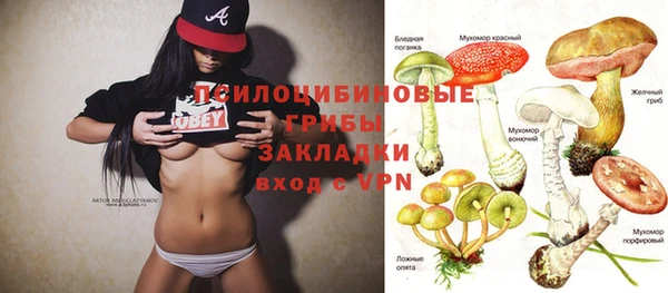 гидропоника Алексеевка