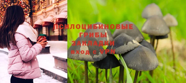 гидропоника Алексеевка